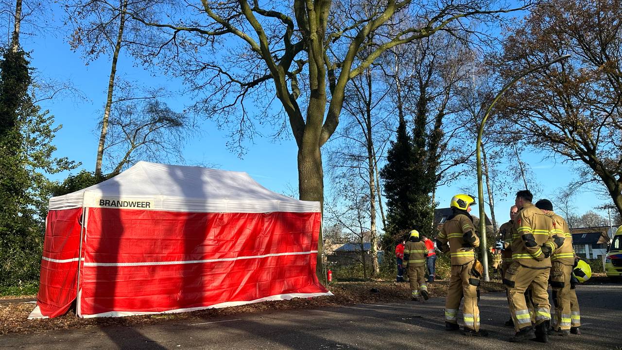 Bestuurder komt om na aanrijding tegen boom.
