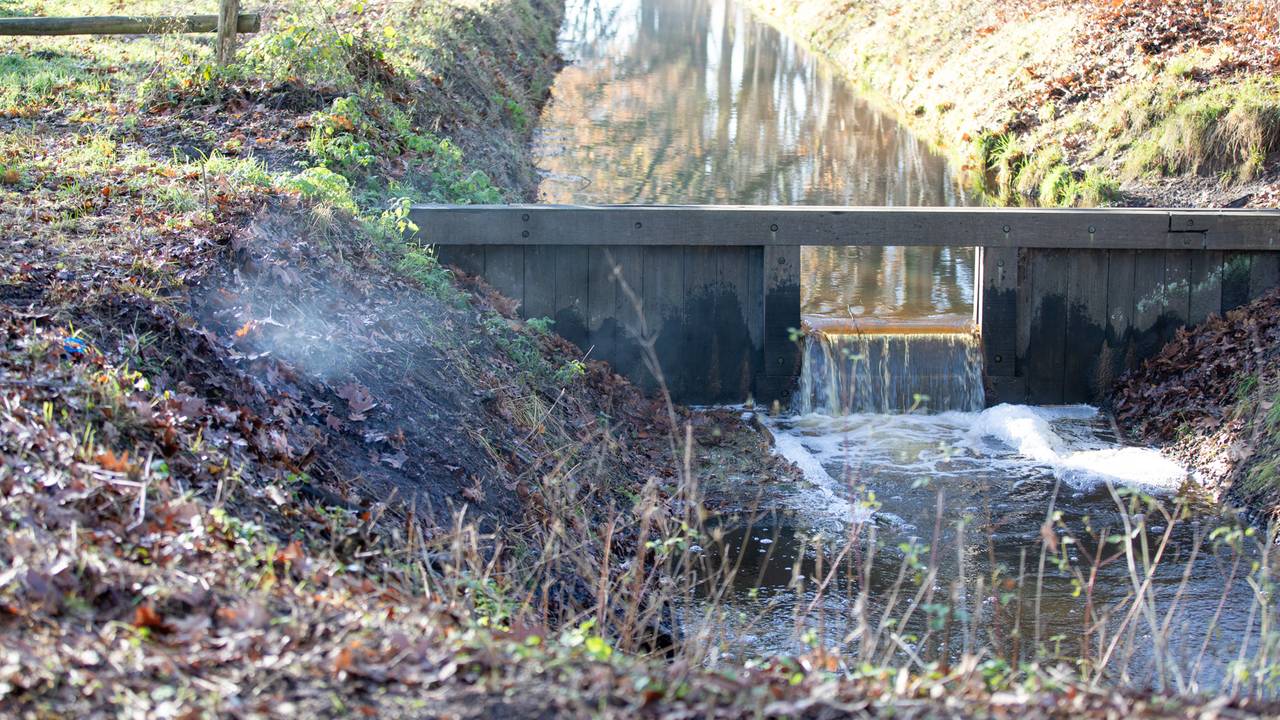 Foto: Christian Traets/SQ Vision.