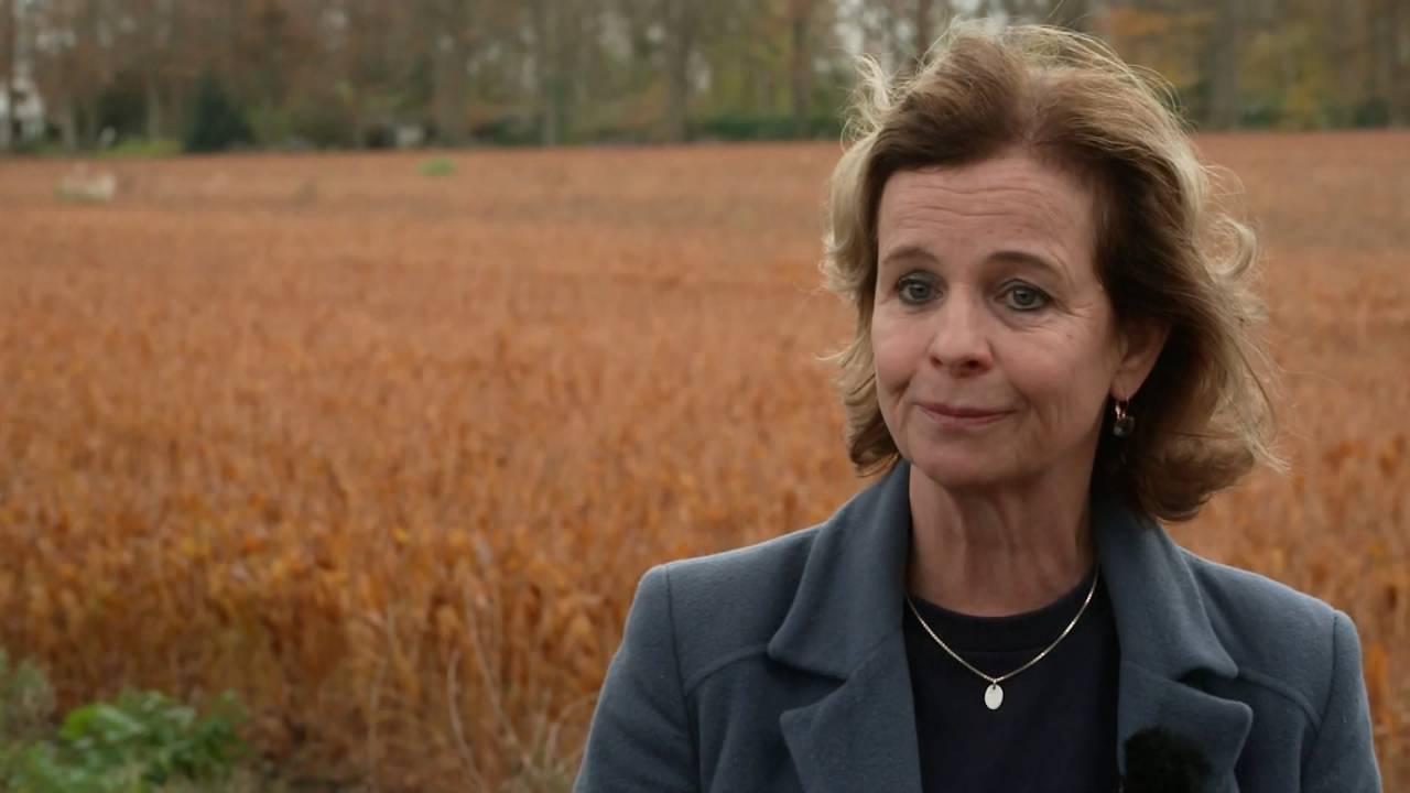 Janique Huijbregts voor het lelieveld vlakbij haar huis in Sint-Michielsgestel