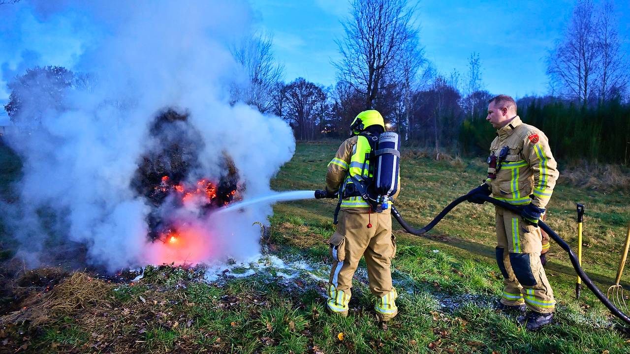 Foto: Rico Vogels / SQ Vision