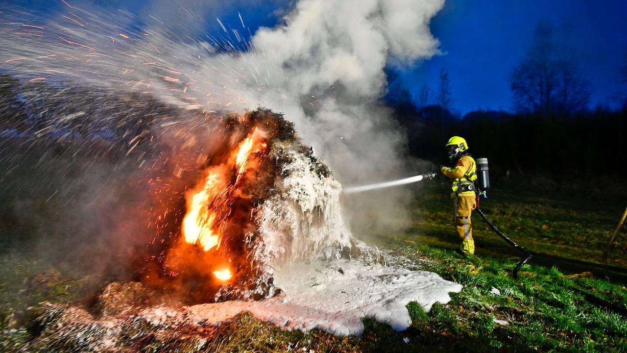 Foto: Rico Vogels / SQ Vision