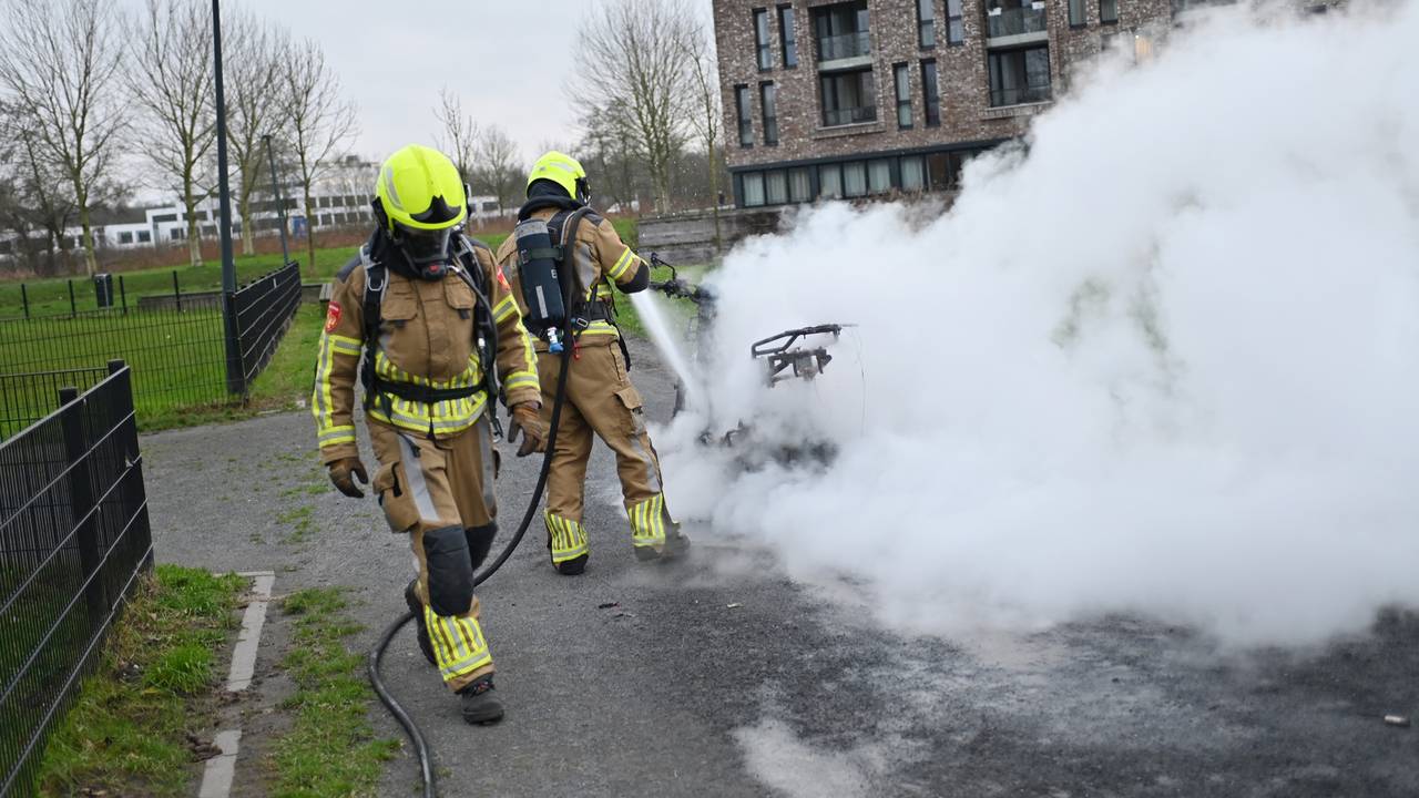 Foto: Perry Roovers / SQ Vision