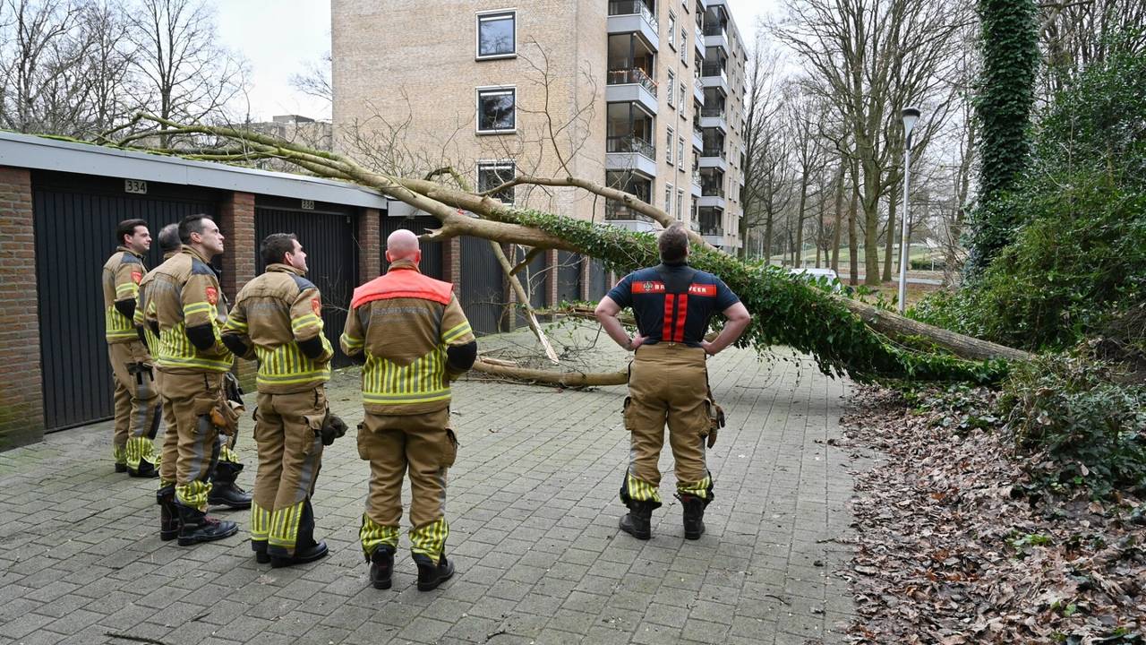 Foto: Toby de Kort/SQ Vision.