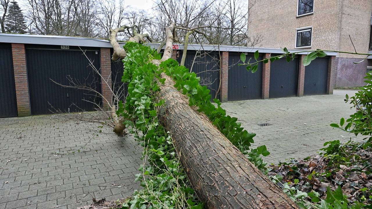 Foto: Toby de Kort/SQ Vision.