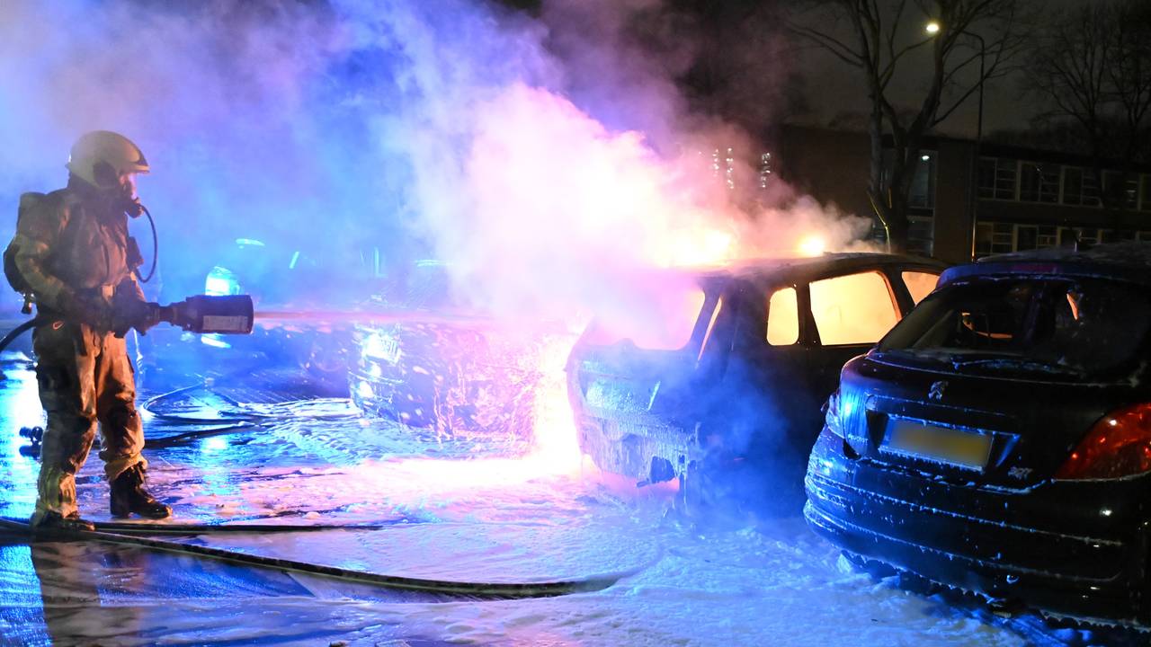 Foto: Perry Roovers / SQ Vision