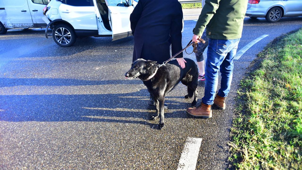 Foto: Johan Bloemers/SQ Vision.