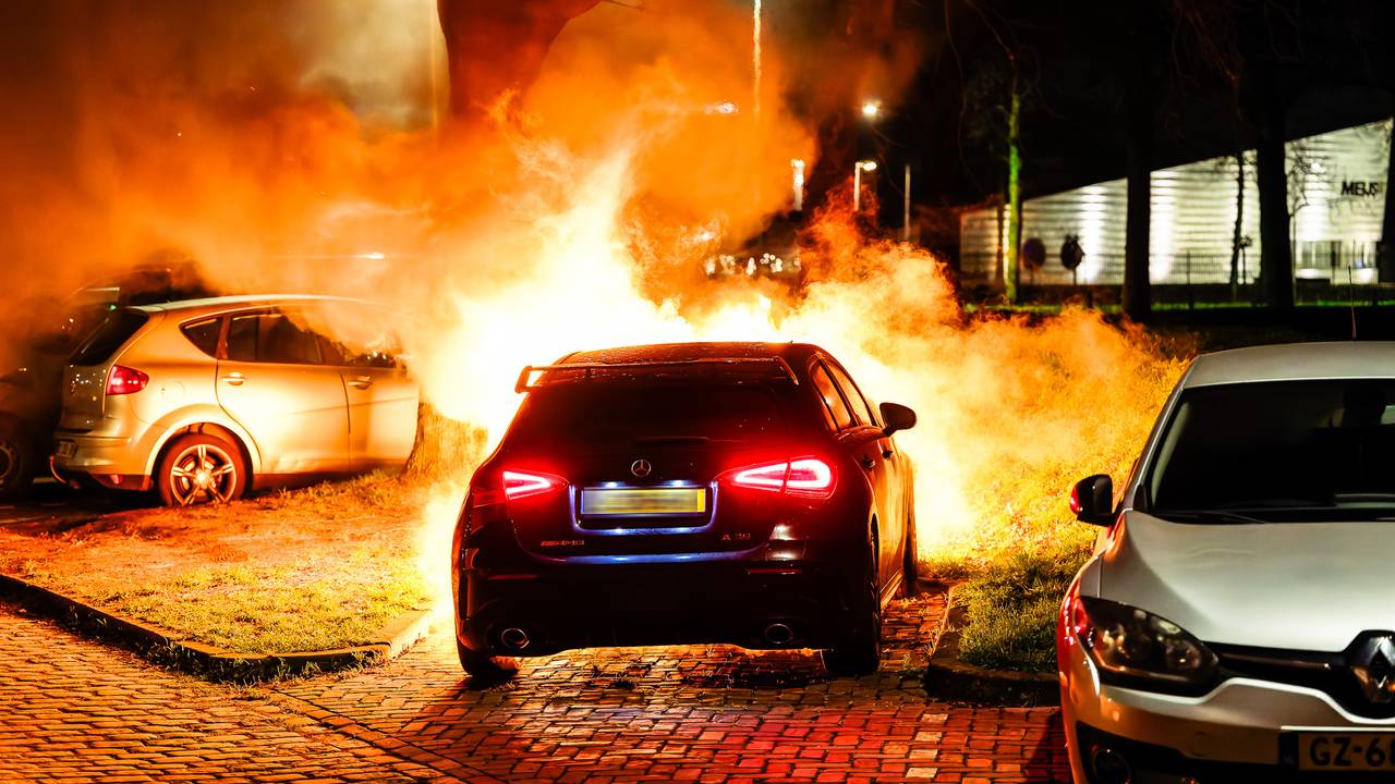 Foto: Jack Brekelmans/SQ Vision Mediaprodukties