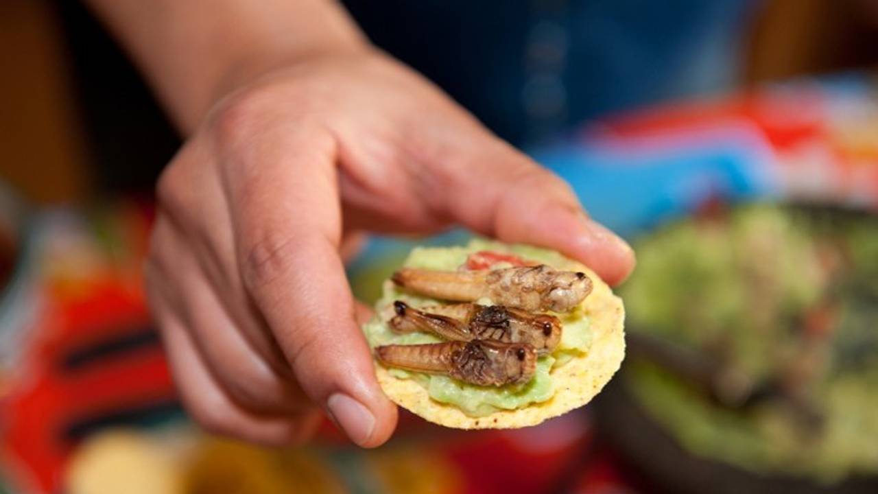 Een toastje met sprinkhaan, iemand? (Foto: New Generation Nutrition)