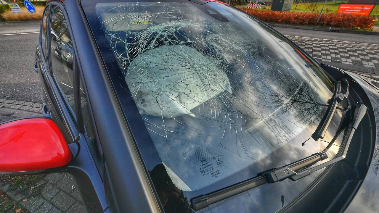 Foto: Rico Vogels/SQ Vision.