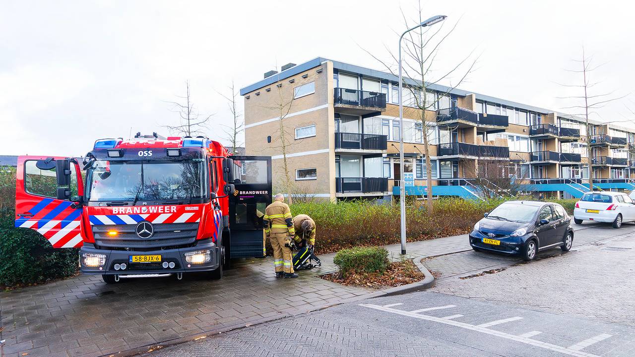 Foto: Gabor Heeres/SQ Vision.