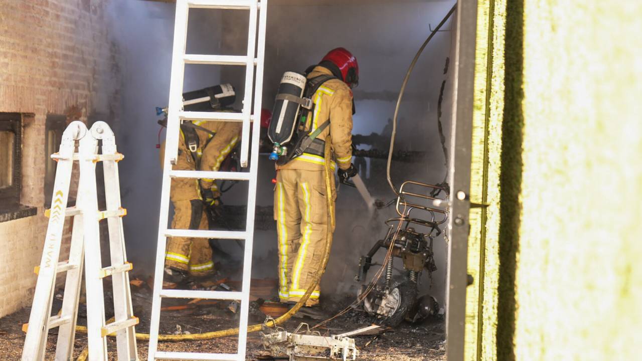 Foto: Harrie Grijseels/SQ Vision.