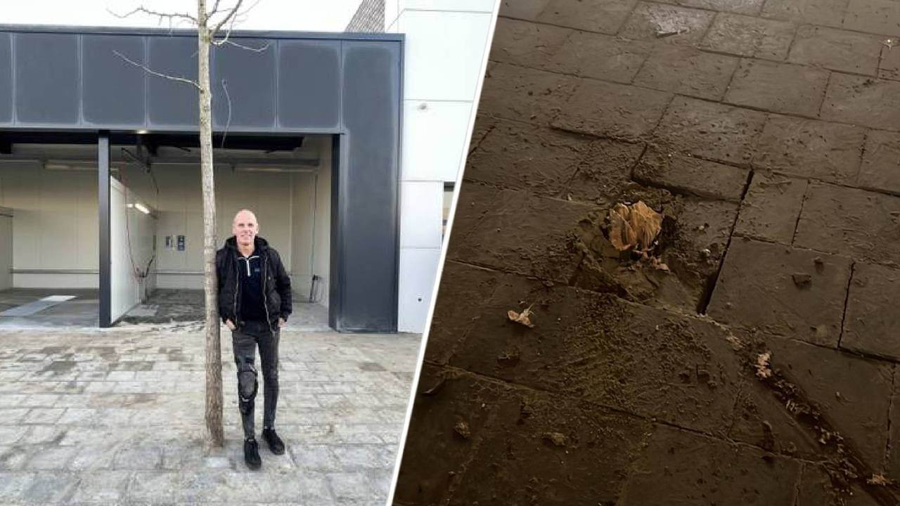 De boom is compleet omver gereden. Links staat de boom nog fier overeind voor de ingang (foto's: Henri Lanters / Raymond Merkx).