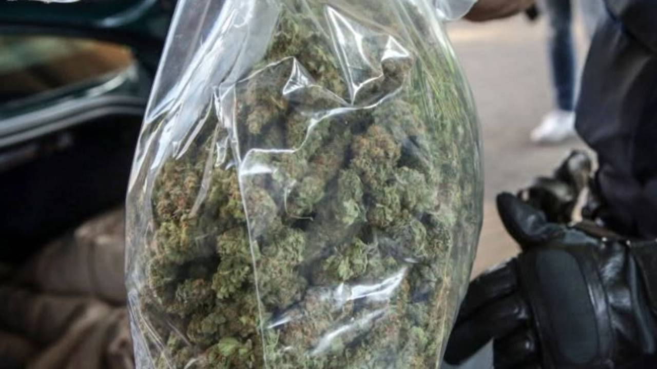 De politie vond vier zakken met henneptoppen in de kofferbak (foto: Politie Best Oirschot/Instagram).