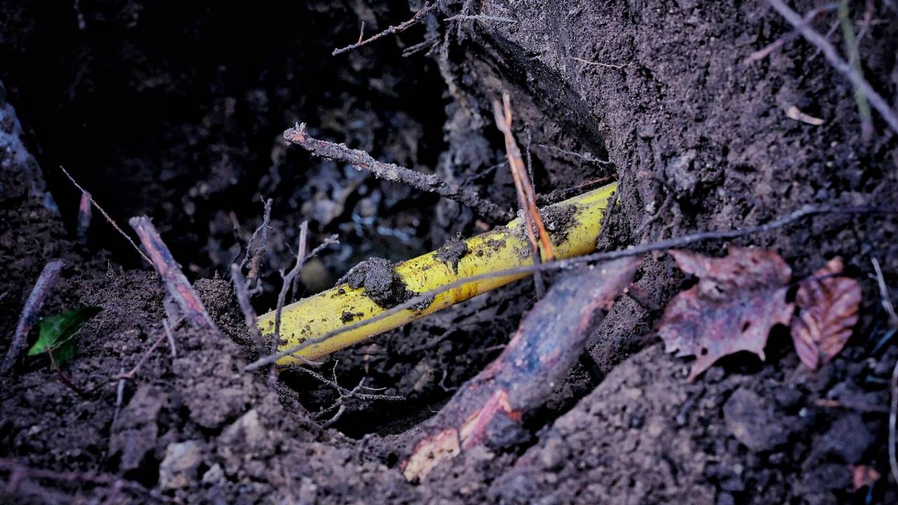 Foto: Toby de Kort/SQ Vision.