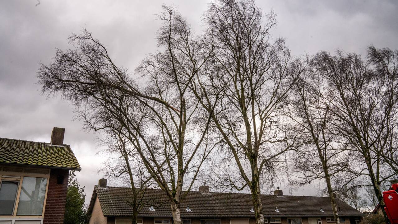 Foto: Dave Hendriks/SQ Vision