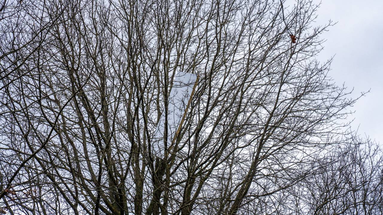 Foto: Dave Hendriks/SQ Vision