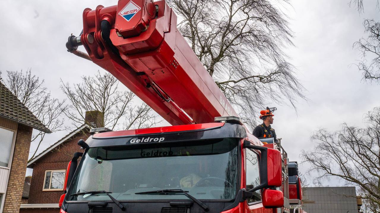 Foto: Dave Hendriks/SQ Vision