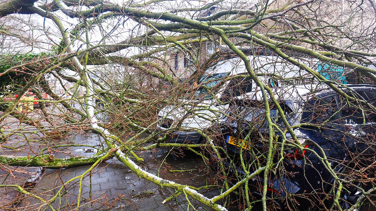 Foto: Arno van der Linde/SQ Vision