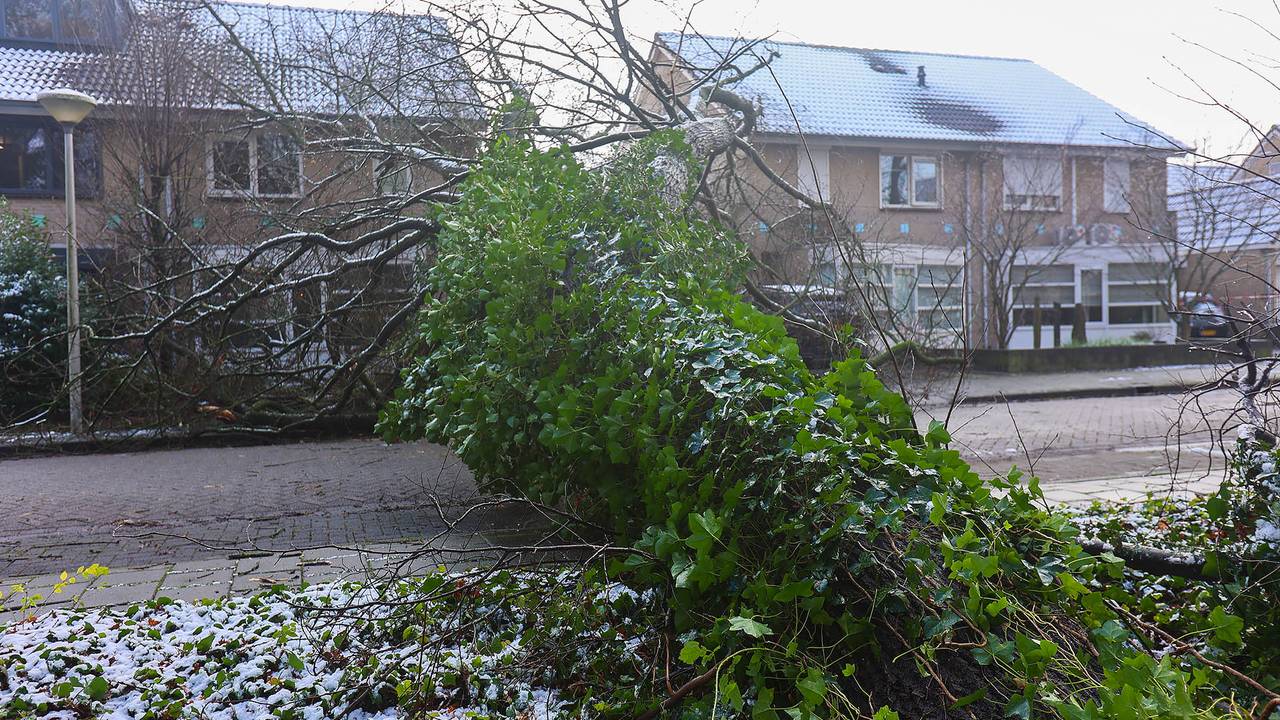 Foto: Arno van der Linde/SQ Vision