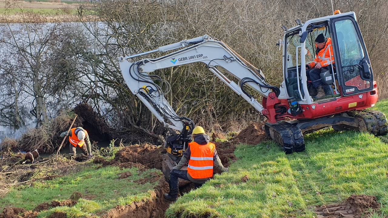 Herstelwerkzaamheden Maasdijk bij Haren (foto: Waterschap Aa en Maas).