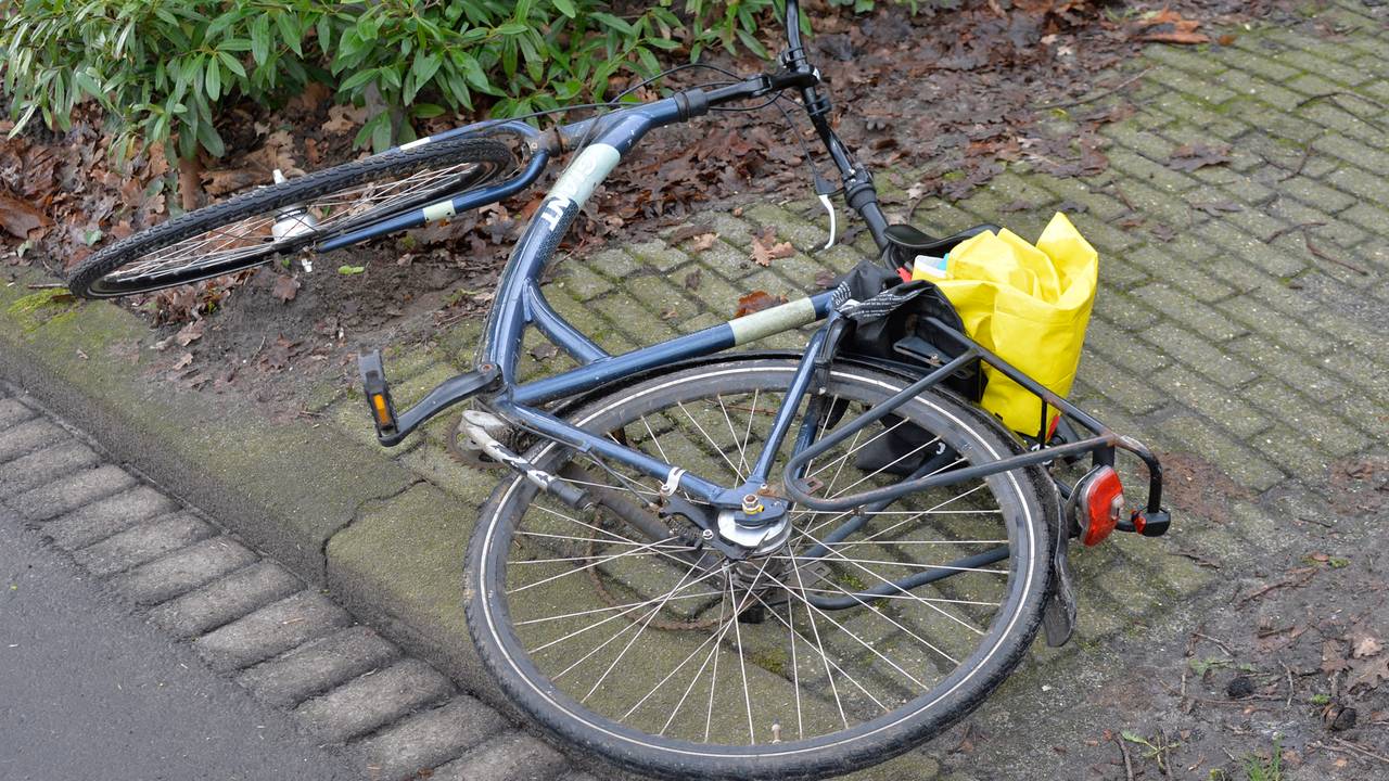 Beeld: Perry Roovers/SQ Vision.