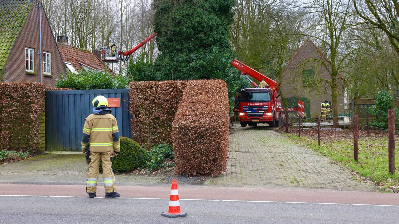 Foto: Sander van Gils/SQ Vision.