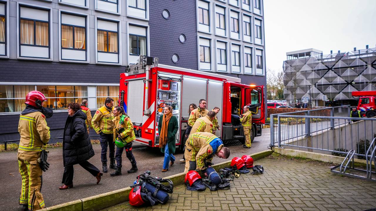 Foto: Gabor Heeres/SQ Vision Mediaprodukties