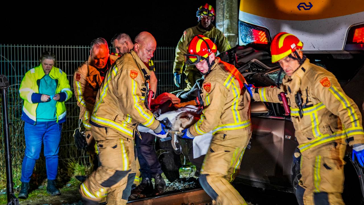 De hond werd met spoed naar een dierenarts gebracht, maar redde het niet (foto: SQ Vision).