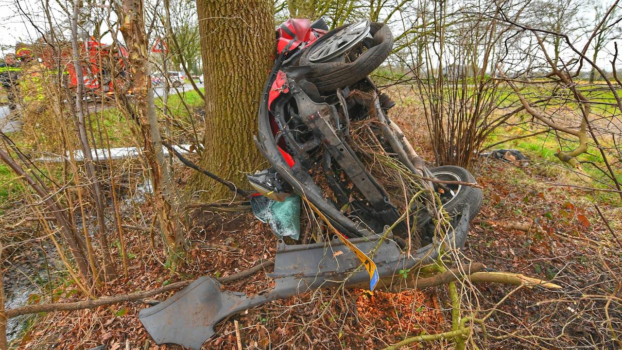 Foto: Rico Vogels / SQ Vision 