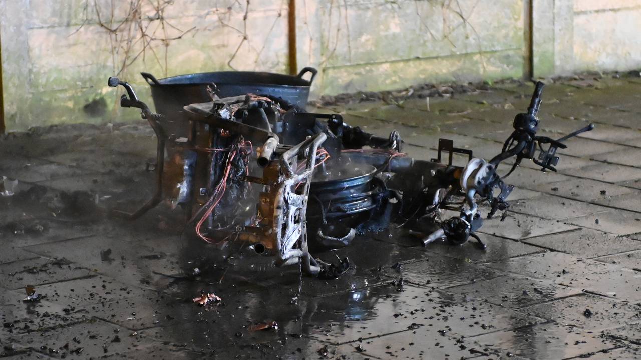 Foto: Perry Roovers / SQ Vision