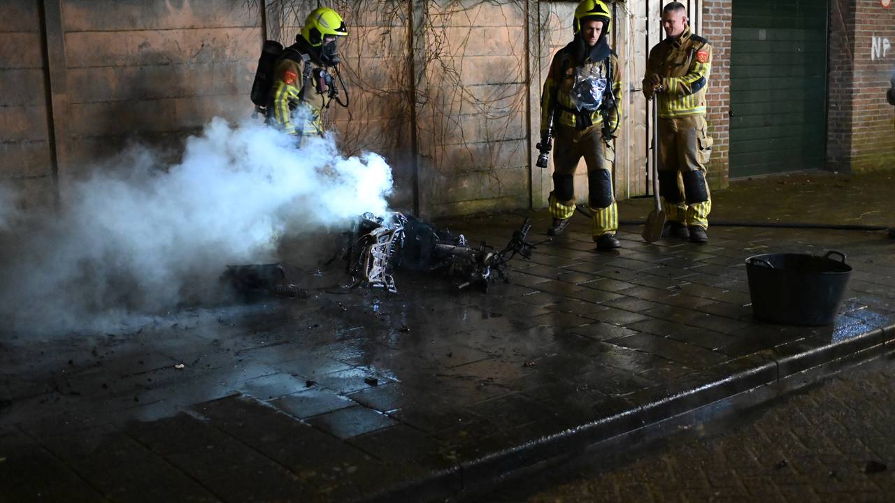 Foto: Perry Roovers / SQ Vision