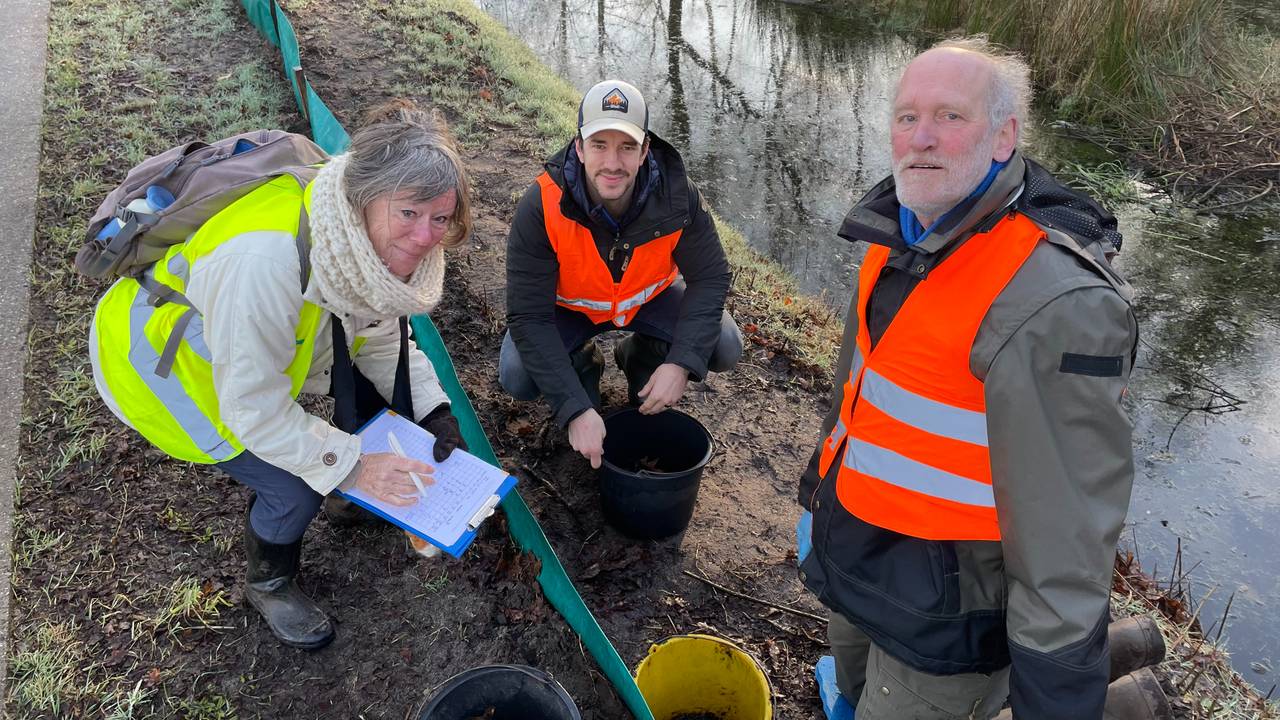 Mari de Bijl (rechts) met vrijwilligers van het IVN bij de paddentrek (foto: Alice van der Plas).