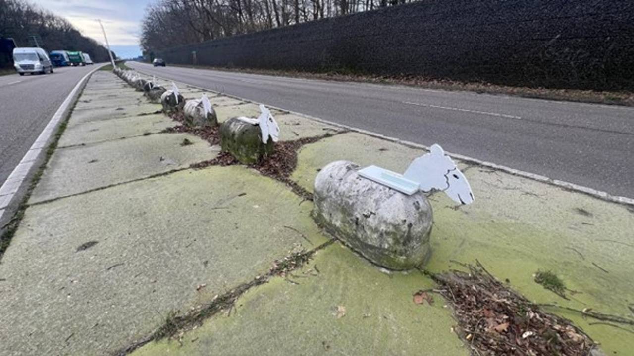 Bèèèhtonblokken zijn omgetoverd tot schapen (foto: Studio040).