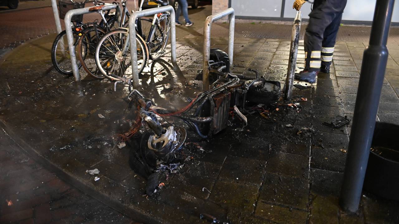 Foto: Perry Roovers / SQ Vision