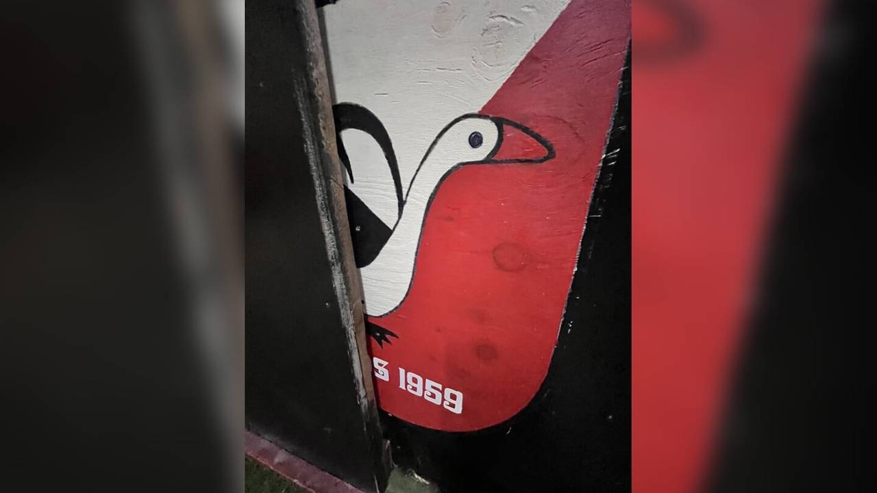 Een ontvoerd gansje (foto: Mooi Laarbeek).