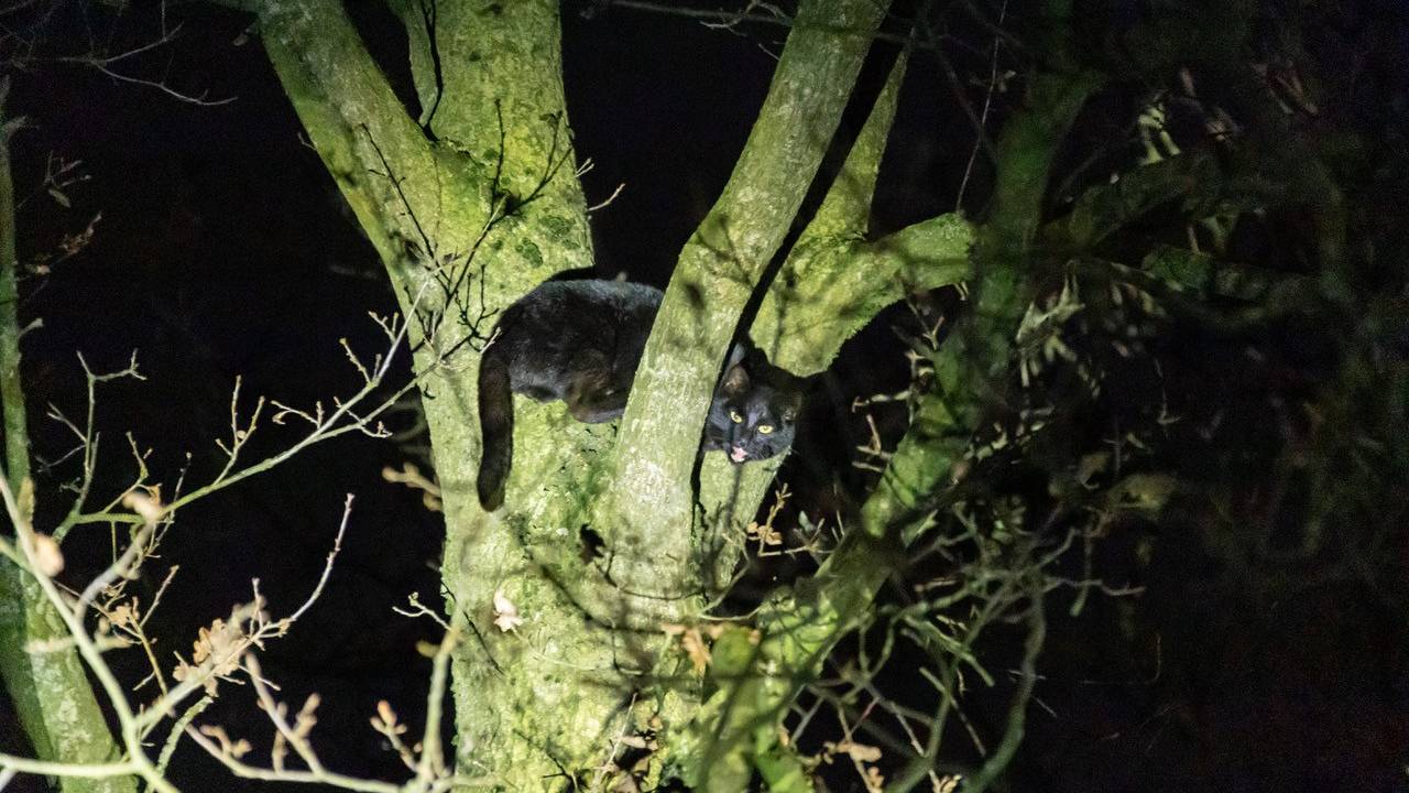 Foto: Albert Hendriks/Overloon Nieuws.