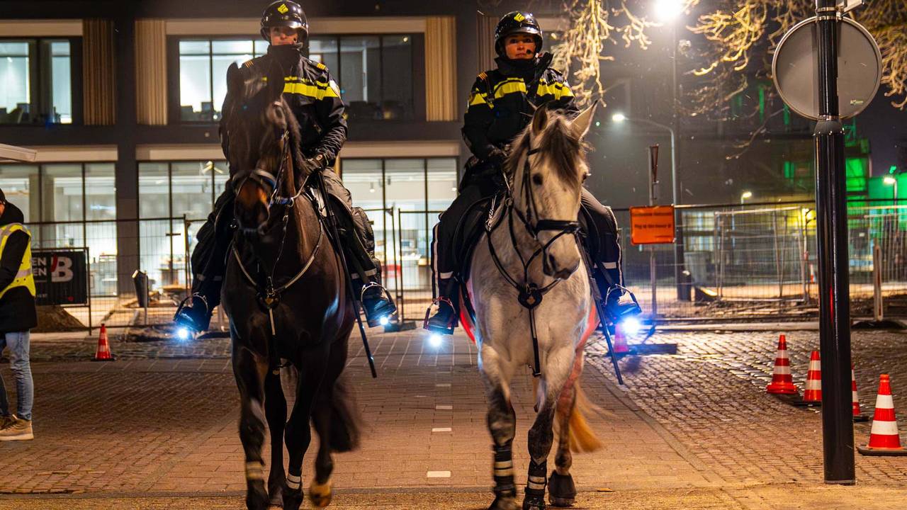 Foto: Harrie Grijseels / SQ Vision