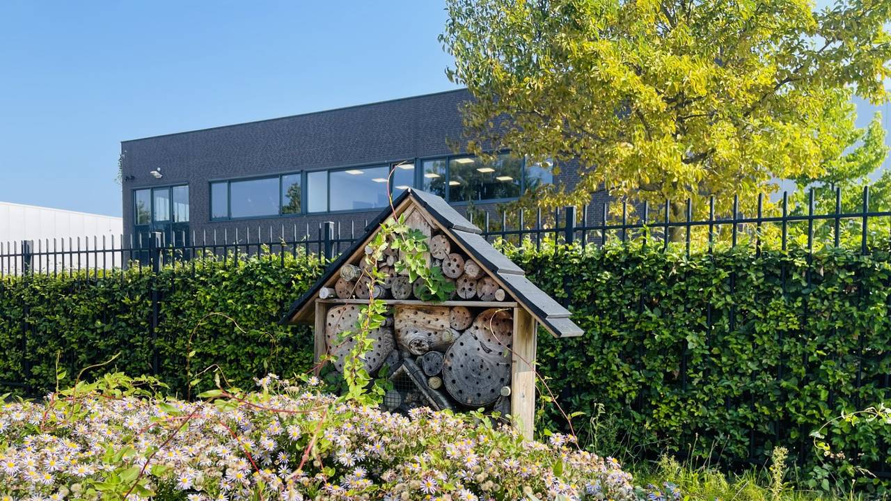 Insectenhotel op bedrijventerrein Loven in Tilburg (foto: Provincie Noord-Brabant)