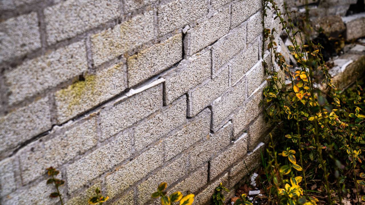 Foto: Dave Hendriks/Persbureau Heitink.