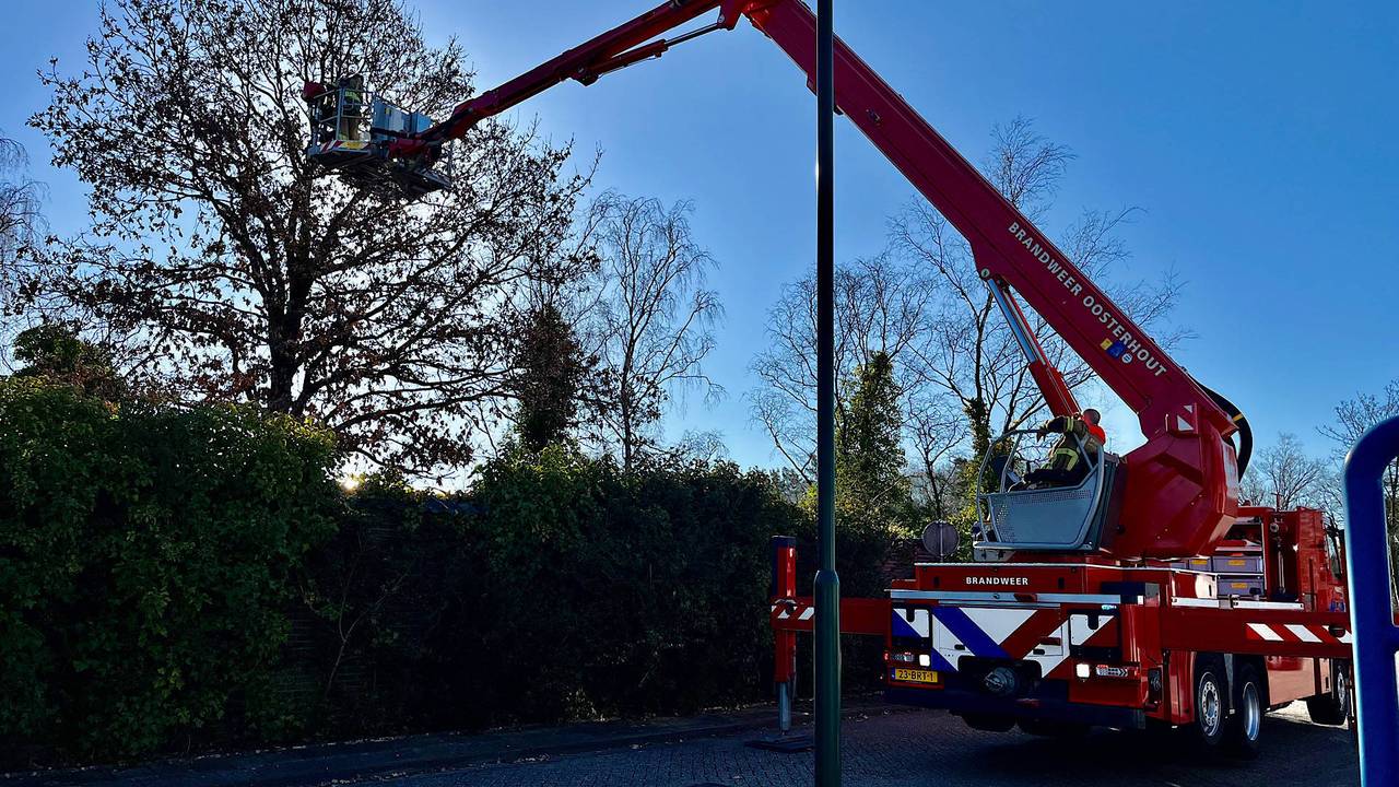 Foto: Jeroen Stuve/Persbureau Heitink.