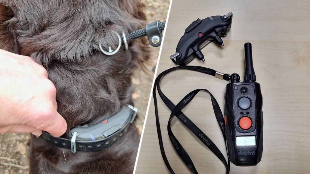 Foto: Dierenpolitie Oost-Brabant/Instagram.