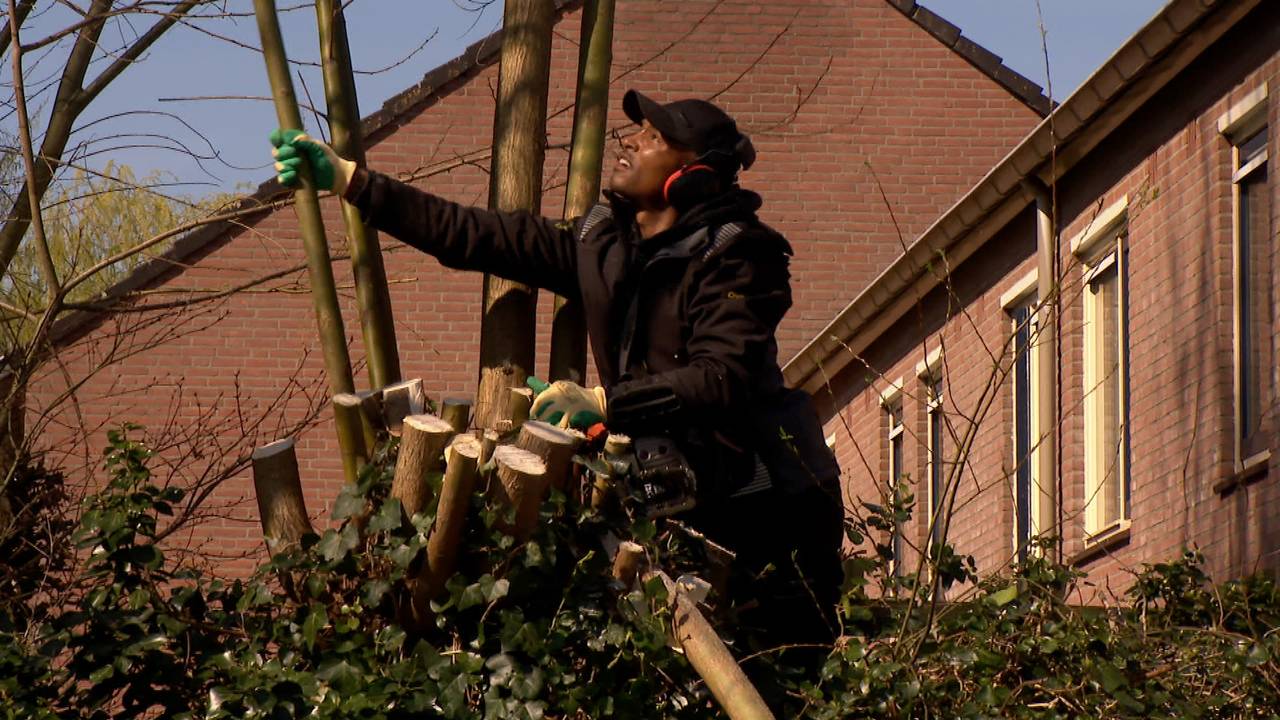 'Yard Legend' knapt tuinen gratis op en maakt er filmpjes over (beeld: Omroep Brabant).