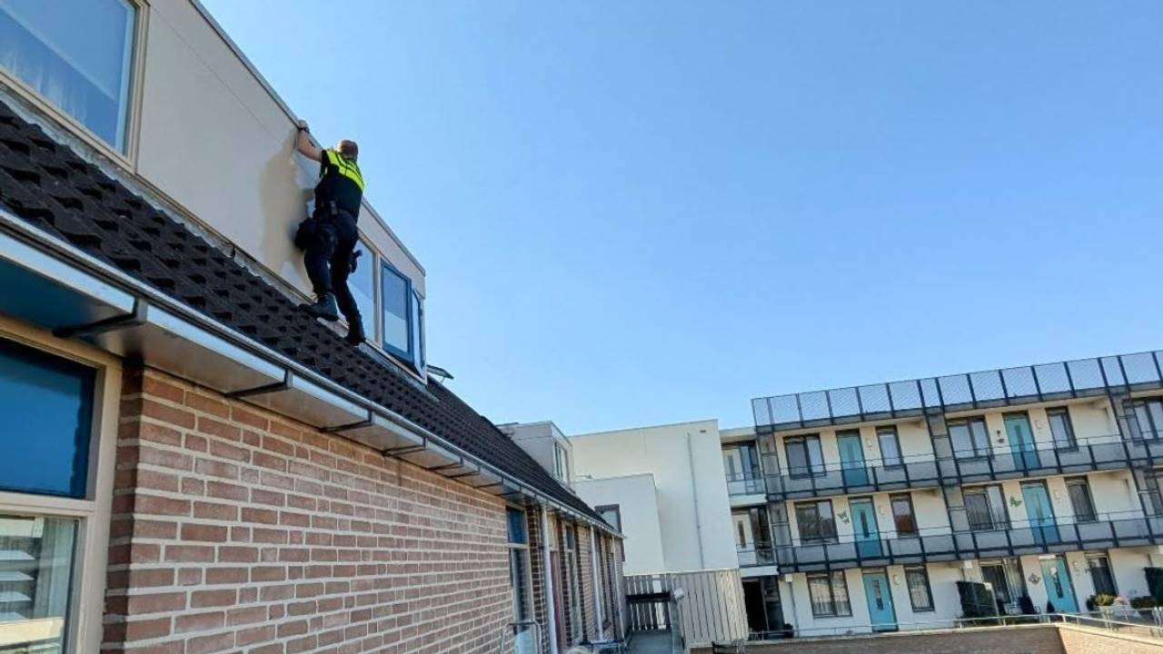 'Spiderman' van de politie in actie (foto: Instagram @politie_den_bosch).