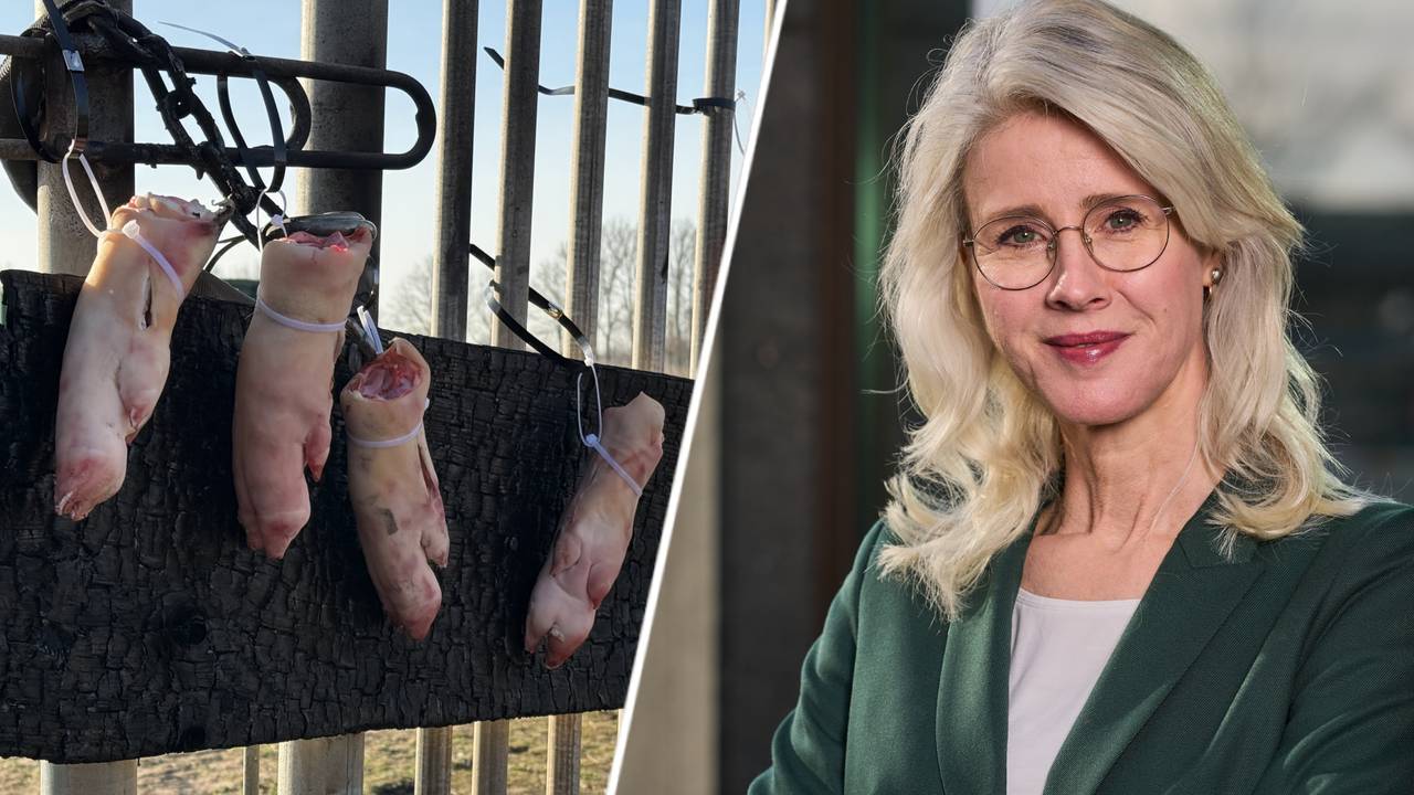 Foto's: Persbureau Heitink/ANP.