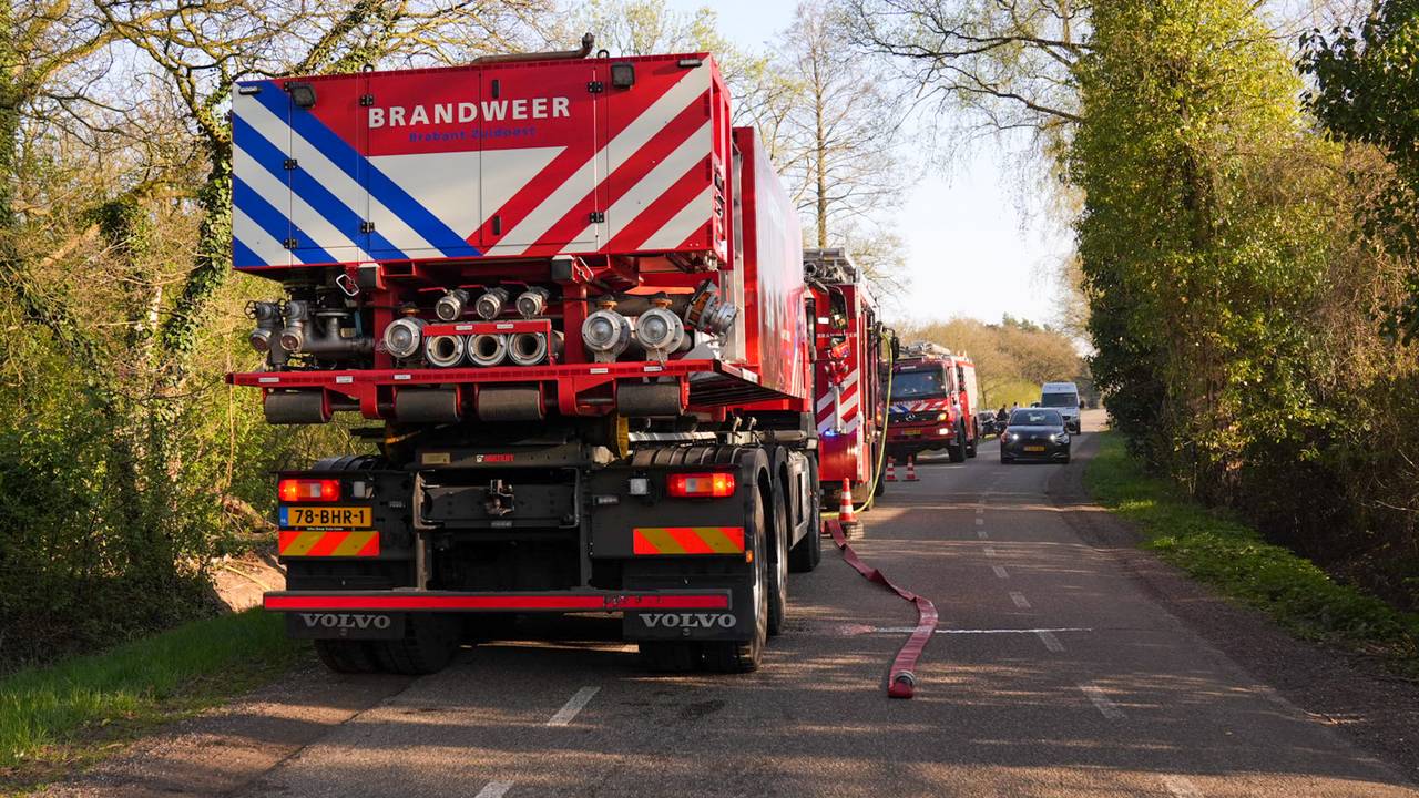 Foto: Harrie Grijseels/Persbureau Heitink