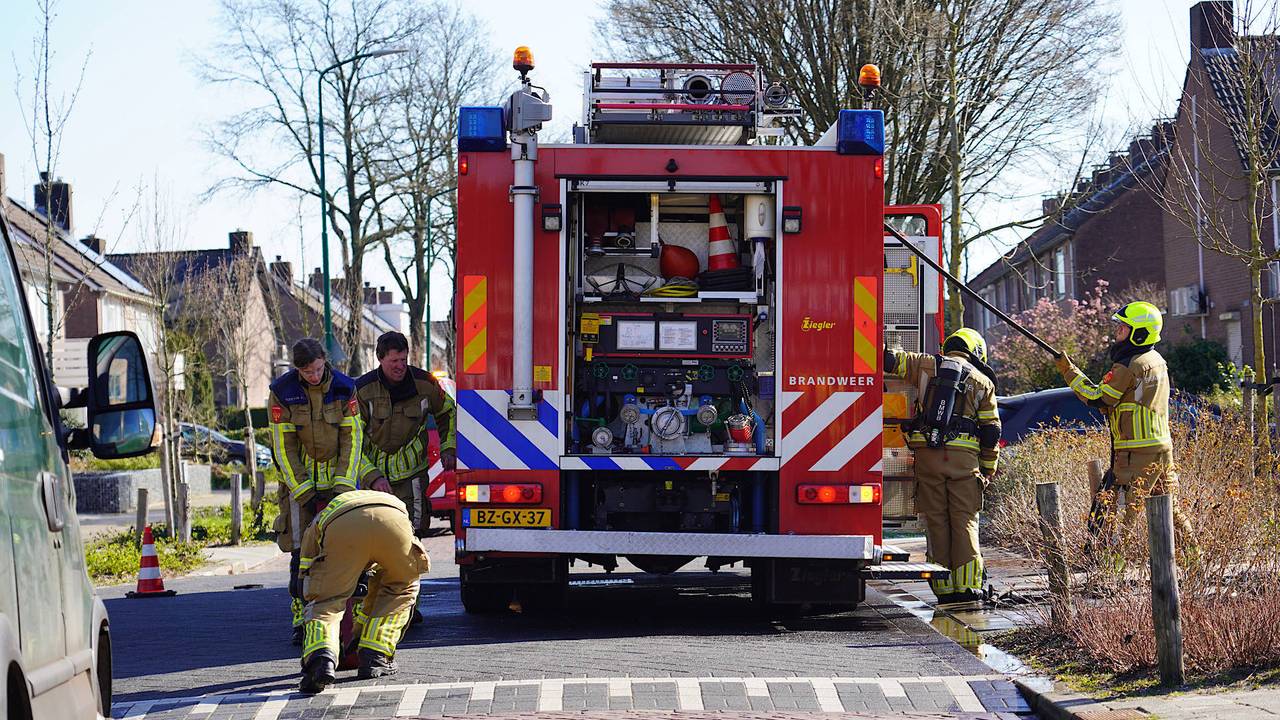 Foto: Persbureau Heitink.