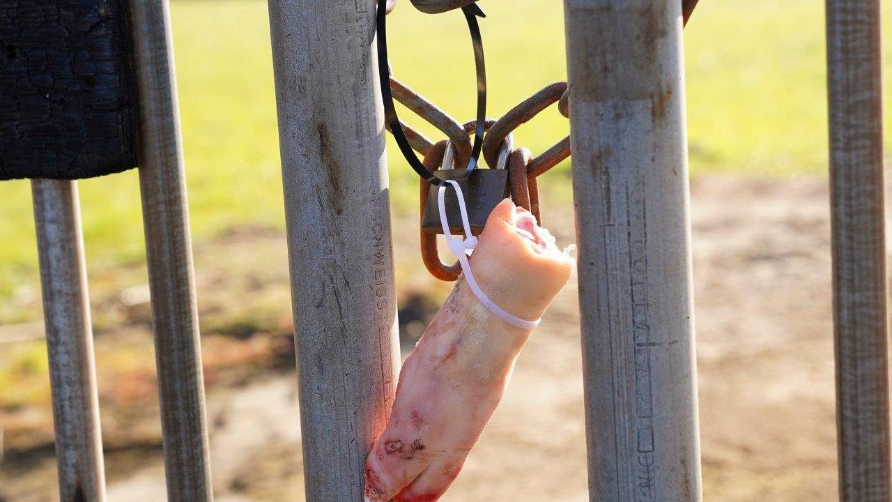 Foto: Bart Meesters/Persbureau Heitink.