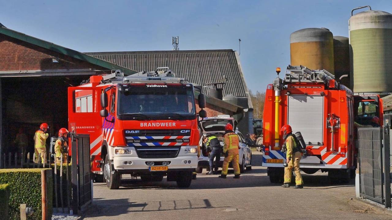 Foto: Rico Vogels/Persbureau Heitink.