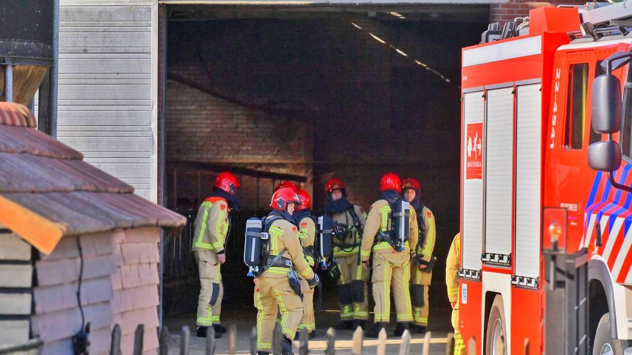 Foto: Rico Vogels/Persbureau Heitink.