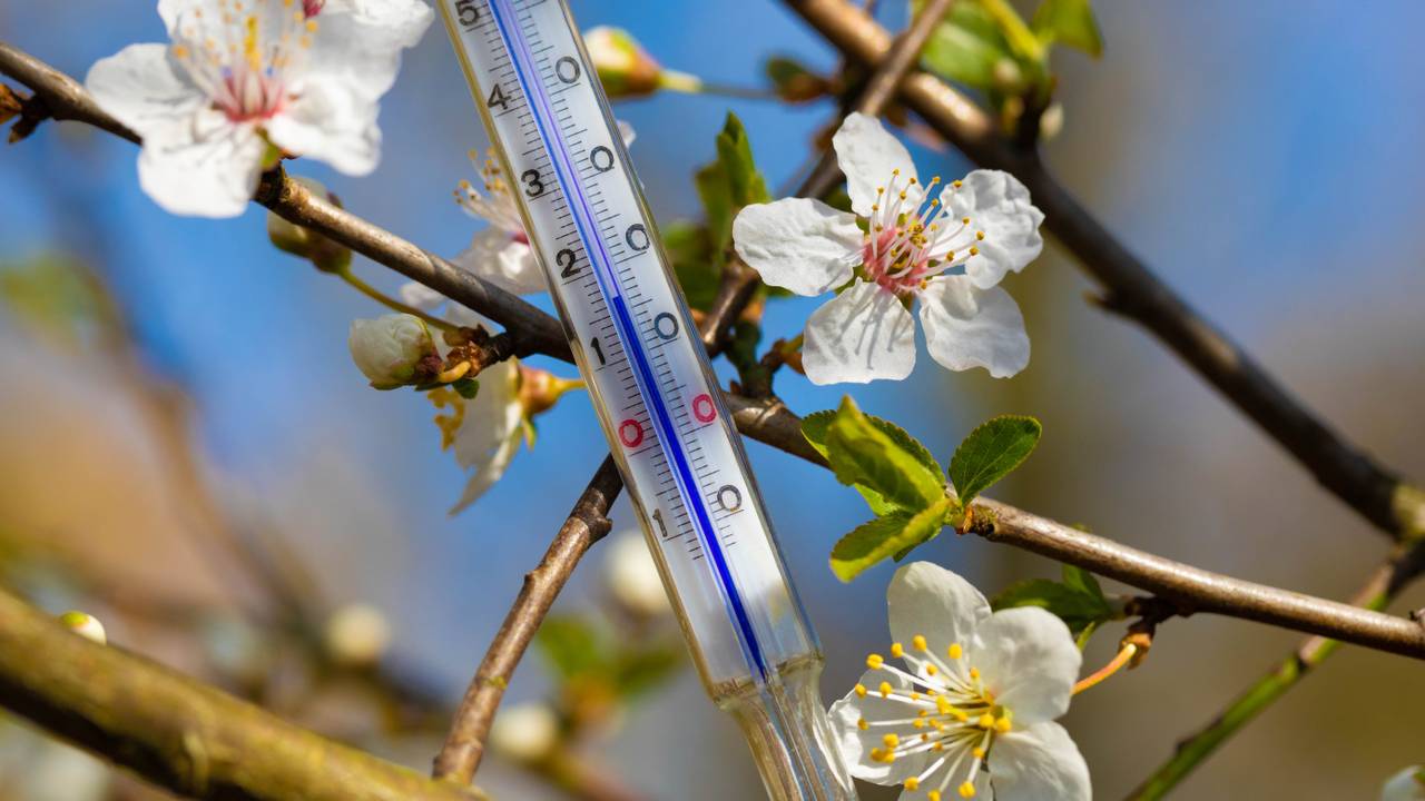 Archieffoto: Ab Donker.